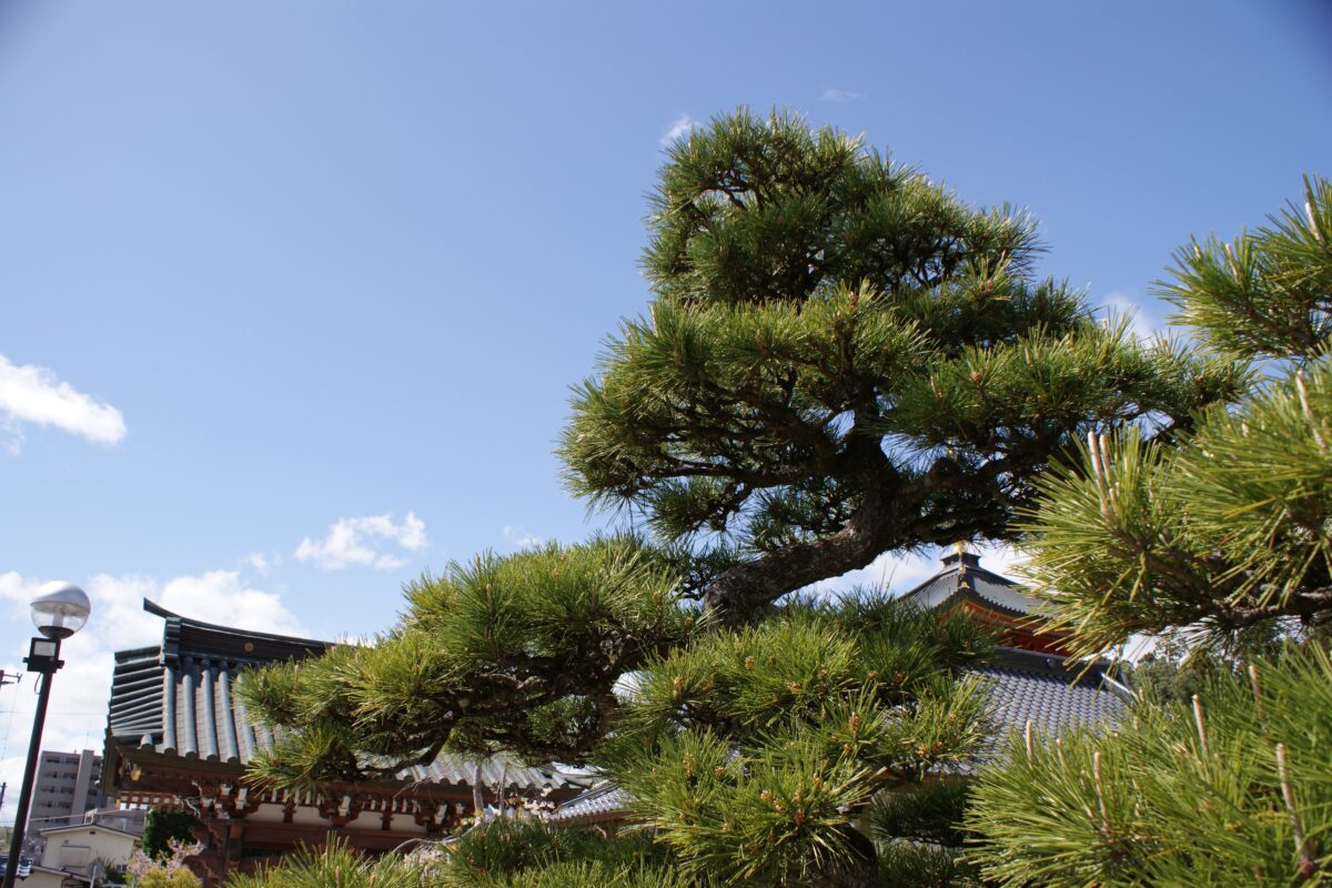 仙台市のお寺 龍城院